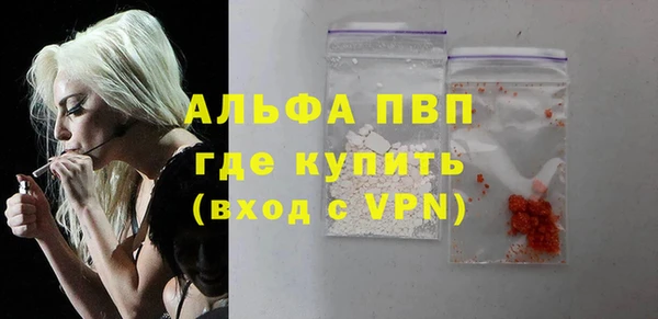 крисы Инта
