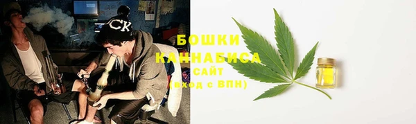 крисы Инта