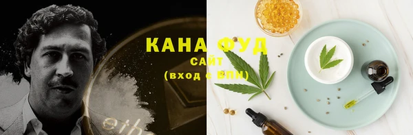 дурь Инсар