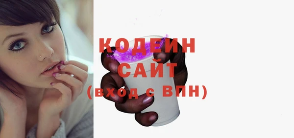 крисы Инта