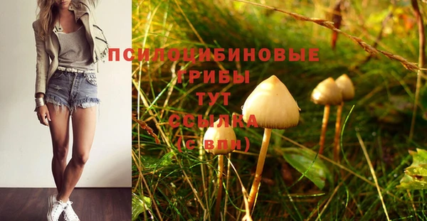 крисы Инта