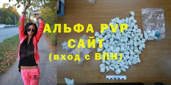 крисы Инта