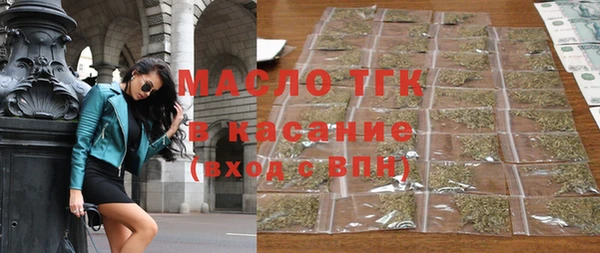 крисы Инта