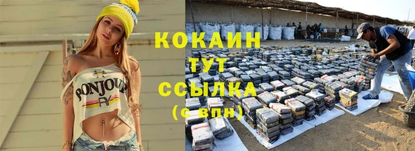 крисы Инта