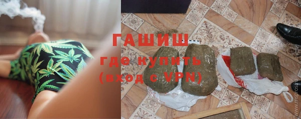 крисы Инта