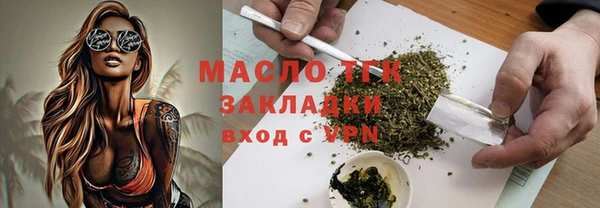 крисы Инта