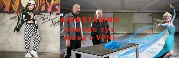 дурь Инсар